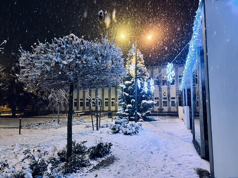 Snowstorm in the city