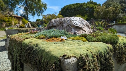 Exhibit at Bonsai Garden, Lake Merritt