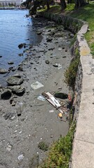 Litter and Pollution by the Lake
