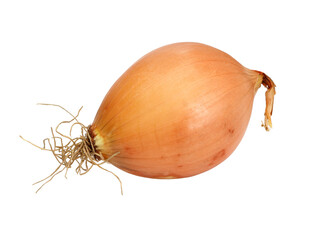 A yellow onion isolated on a white background