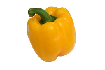 Yellow bell pepper, a staple food ingredient, on white background