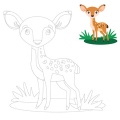 Vector coloring book for kids. A fawn in a forest clearing.