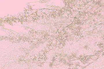 a pink background with a pattern of flowers on it