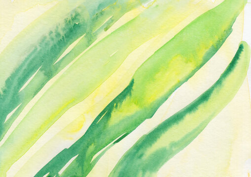 Green watercolor painting