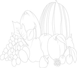 Fruit coloring page for kids
