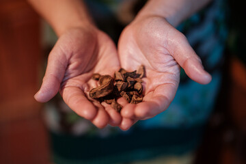 Hands holding culinary roots