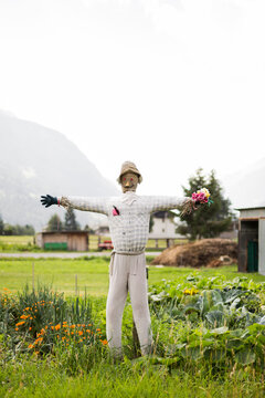 scarecrow