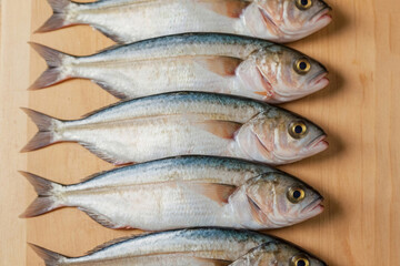 Fototapeta premium A row of fish are on a wooden table. The fish are all different sizes and colors. The table is made of wood and has a natural, rustic feel