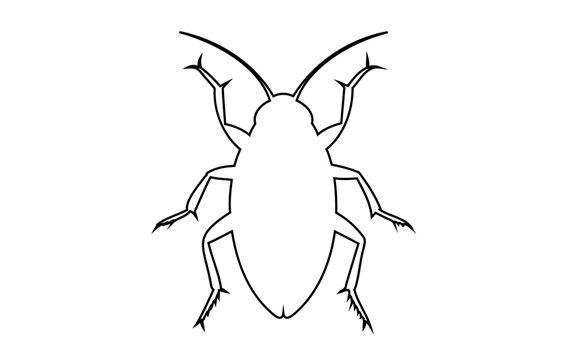 recommend clip art: Black outline of cockroach isolated on white backdrop Illustration. Icon, sign, pictogram, print. Design element. Pest control and infestation concept for design, print and educational material
