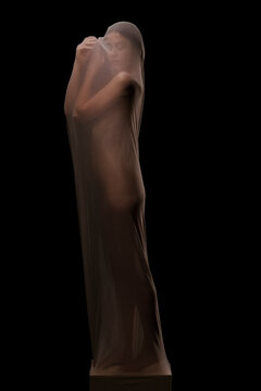 Figure of Silent Poise