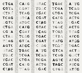 The GATC gene - guanine, adenine, thymine, and cytosine