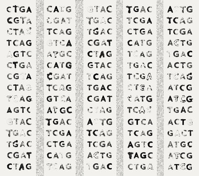 The GATC gene - guanine, adenine, thymine, and cytosine