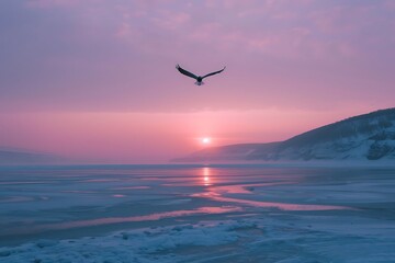 Fototapeta na wymiar : Sunrise over a frozen lake with a lone bird soaring across the sky.