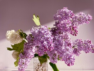 On a pink background in sunlight, a bouquet of purple lilac and white viburnum