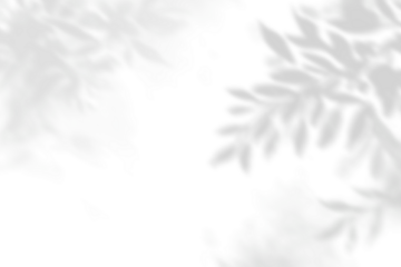 Png plant shadow background, botanical shadow in transparent design