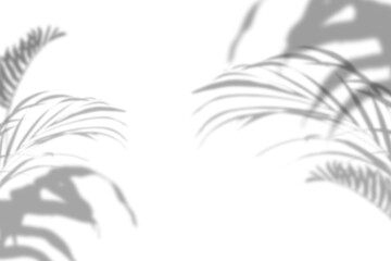 Png leaves shadow background, botanical shadow in transparent design