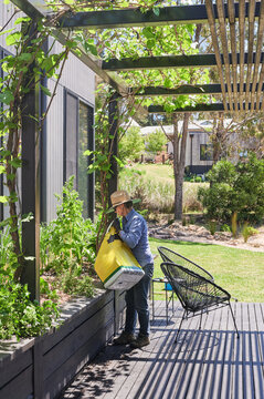 Gardener mulching kitchen garden
