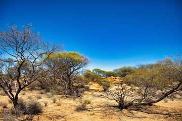 Outback landscape at The Granites, close to Mount Magnet, Western Australia. This area strong has a strong cultural significance to the Aboriginal Badimia tribe
