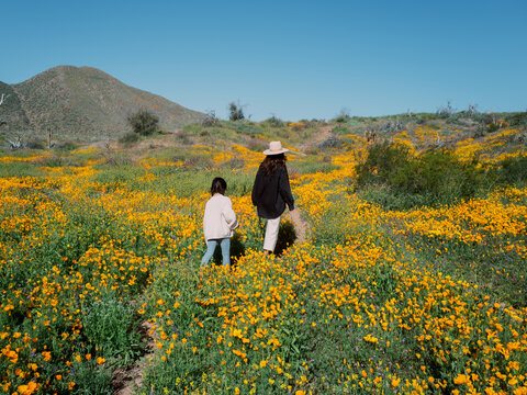 Hiking in poppies