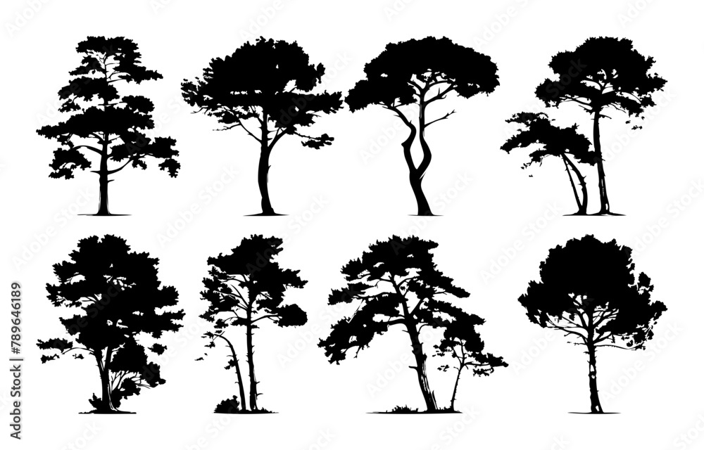 Wall mural Set of silhouette tree line drawing. Side view set of graphics trees elements outline symbol for architecture and landscape design drawing. Vector isolated illustration in stroke fill in white. Forest