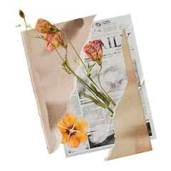 Dried rose png flower collage, Autumn aesthetic in vintage design on transparent background