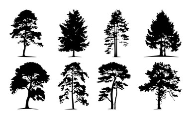 Pine tree silhouette, Minimal style, Side view, set of graphics trees elements outline symbol for architecture and landscape design. Vector illustration, Pinus Sylvestris