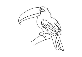 Toucan. One line drawing vector illustration.