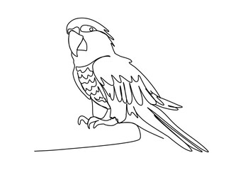 Parrot. One line drawing vector illustration.