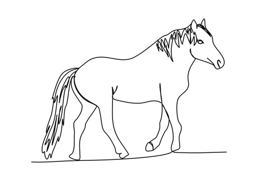 Horse. One line drawing vector illustration.