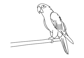 Parrot. One line drawing vector illustration.