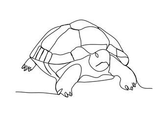 Turtle. One line drawing vector illustration.