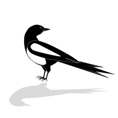 Beautiful black and white bird, male Oriental Magpie Robin logo icon design vector illustration in simple minimalist style - 789647354