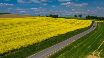 Aerial drone view of yellow rapeseed fields in German countryside