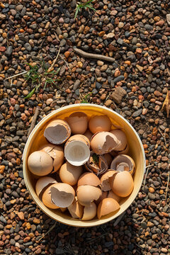 Top view of a bucket filled with eggshells 