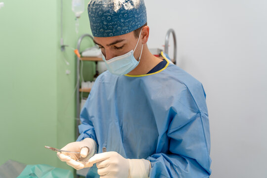 Veterinarian operating an animal.