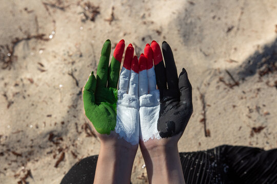 Painted Palestinian Flag
