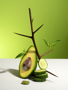 Natural still life. Avocado with a pit, thorn bush and cucumber slices