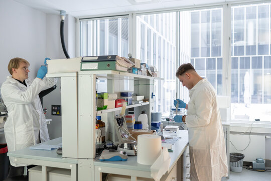 Male Scientists Working In Bright Lab Room