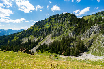 les arbres et ciel bleu sur la montagne à Chatel France 