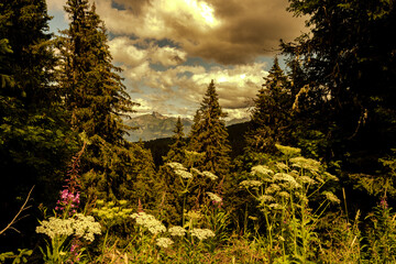 Montagne - couché soleil - Chatel France