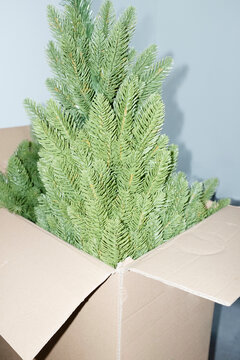 Christmas is over / Christmas tree back in cardboard box to storage