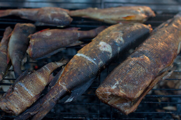 grilled pike. Tourist wild outdoor recreation