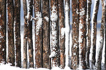Southwestern Fence With Snow