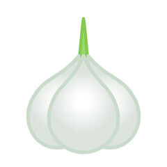 Garlic head icon