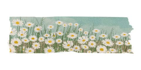 Daisy washi tape png sticker, flower aesthetic collage element