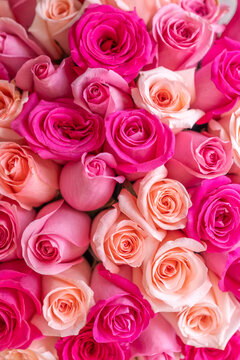 Pink and Peach Flowers