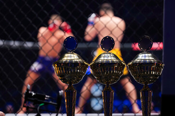 Cups standing in front of the ring where the fight takes place
