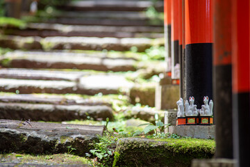 鎌倉244　佐助稲荷神社6