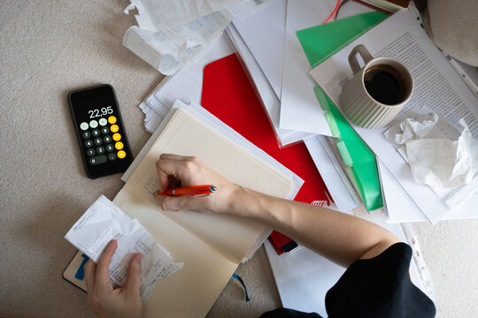 Woman Accounting Financial Papers At Home