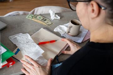 Woman Accounting Financial Papers At Home